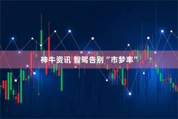 神牛资讯 智驾告别“市梦率”
