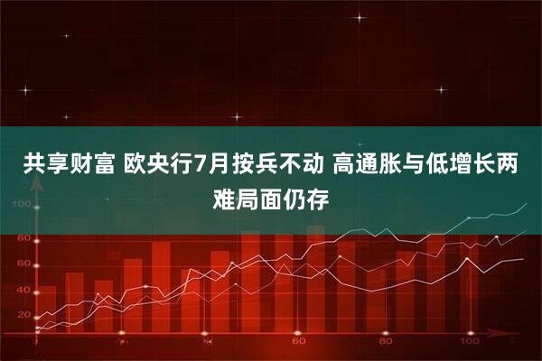 共享财富 欧央行7月按兵不动 高通胀与低增长两难局面仍存