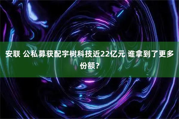 安联 公私募获配宇树科技近22亿元 谁拿到了更多份额？