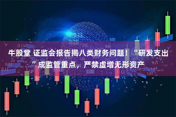 牛股堂 证监会报告揭八类财务问题！“研发支出”成监管重点，严禁虚增无形资产